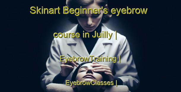 Skinart Beginner's eyebrow course in Juilly | EyebrowTraining | EyebrowClasses | SkinartTraining-France